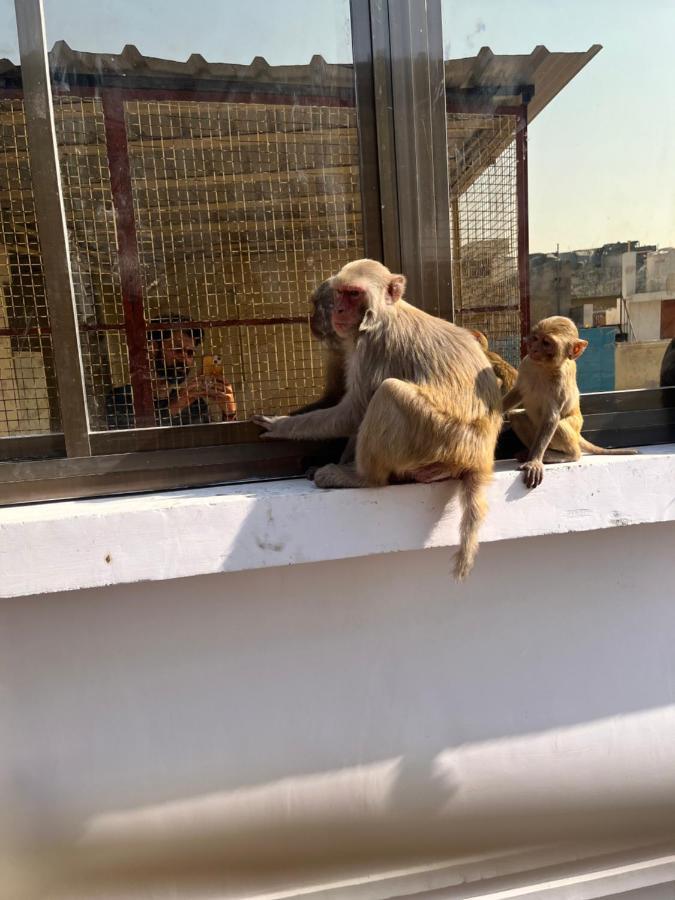 Yogi Soul Hotel Váránaszi Kültér fotó